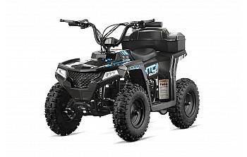 Acanto Sport 1000W 36V Li-Ion Mini Quad Électrique 