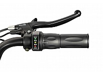 Acanto Sport 1000W 36V Li-Ion Elektryczny Quad dla Dziecka