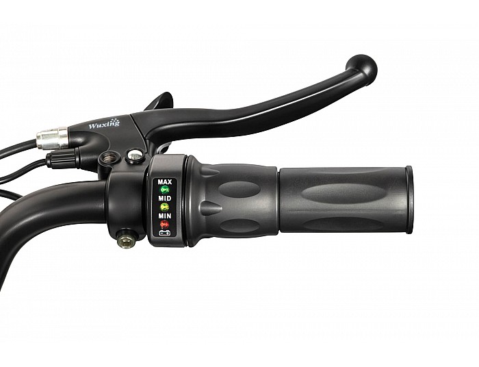 Acanto Sport 1000W 36V Li-Ion Elektryczny Quad dla Dziecka