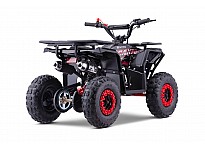 Acanto Deluxe 49cc PETROL KIDS MINI QUAD BIKE