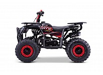 Acanto Deluxe 49cc PETROL KIDS MINI QUAD BIKE
