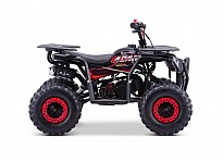 Acanto Deluxe 49cc PETROL KIDS MINI QUAD BIKE