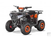 Acanto Cross 1000W 36V Kids Electric Quad Bike