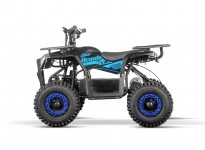 Acanto Cross 1000W 36V Kids Electric Quad Bike