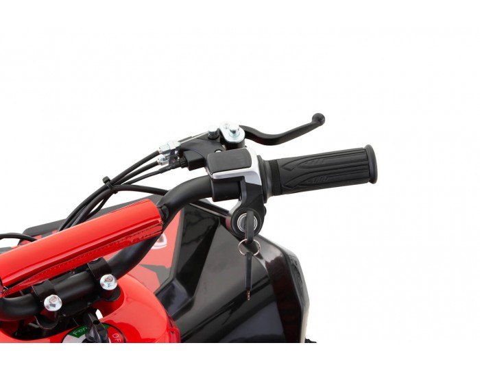 Avenger 1200W 48V Kinder Elektro Quad Bike auf Offroad-Reifen