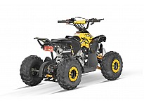 Avenger 125cc Petrol Midi Quad Bike Automatic + Reverse 