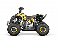 Avenger 125cc Petrol Midi Quad Bike Automatic + Reverse 