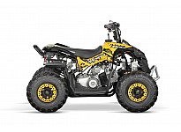 Avenger 125cc Petrol Midi Quad Bike Automatic + Reverse 