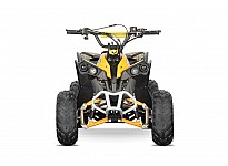 Avenger 125cc Petrol Midi Quad Bike Automatic + Reverse 