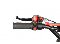Coelo Deluxe 50cc Mini Dirt Bike for Barn