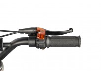 Coelo Deluxe 50cc Mini Dirt Bike for Barn