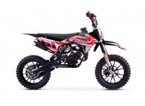 Coelo Deluxe 50cc Mini Dirt Bike for Barn