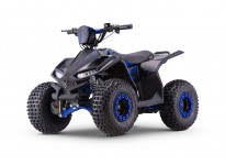 Cooba Deluxe L 1200W 48V Kids Electric Quad Bike