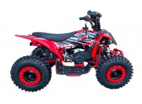 Dazzle AV 49cc E-Start Mini Quad  voor Kinderen
