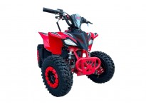 Dazzle AV 49cc E-Start Mini Quad  voor Kinderen
