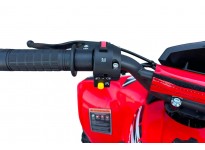 Dazzle AV 49cc E-Start Mini Quad  voor Kinderen