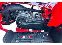 Dazzle AV 49cc E-Start Mini Quad  voor Kinderen