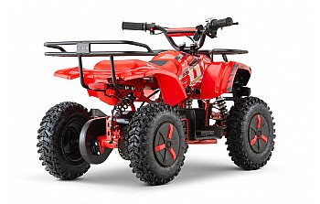 Dusty Sport 1000W 36V Elektrisch Mini Quad op Off-Roadbanden