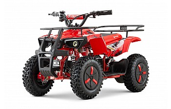 Dusty Sport 1000W 36V Elektrisch Mini Quad op Off-Roadbanden