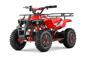Dusty Sport 1000W 36V QUAD Elektro Quad Bike auf Offroad-Reifen