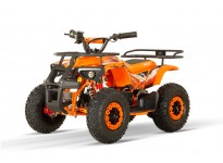 Dusty 1200W 48V Kinder Elektro Quad Bike auf großen Reifen