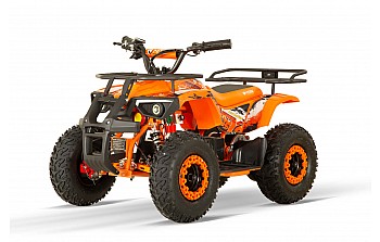 Dusty 1200W 48V Elektro Quad Bike auf großen Reifen