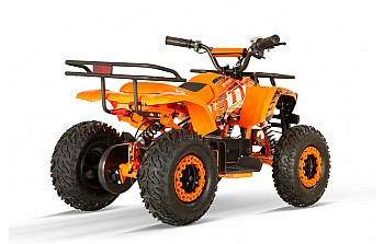 Dusty 1200W 48V Elektro Quad Bike auf großen Reifen