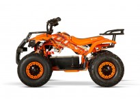 Dusty 1200W 48V Kinder Elektro Quad Bike auf großen Reifen