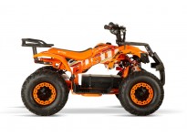 Dusty 1200W 48V Kinder Elektro Quad Bike auf großen Reifen
