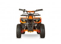 Dusty 1200W 48V Kinder Elektro Quad Bike auf großen Reifen