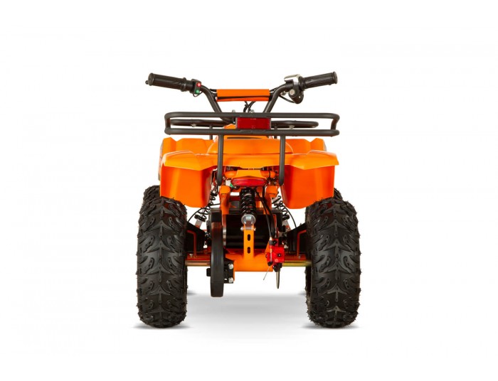 Dusty 1200W 48V Kinder Elektro Quad Bike auf großen Reifen
