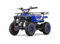 Dusty Sport 49cc PETROL MINI QUAD 50cc VOOR KINDEREN