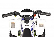 Falcon 49cc E-Start Mini Quad  voor Kinderen