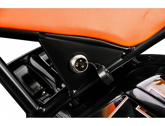 Eco Flee 300W 24V Elektro Cross Bike Kinder Motorrad