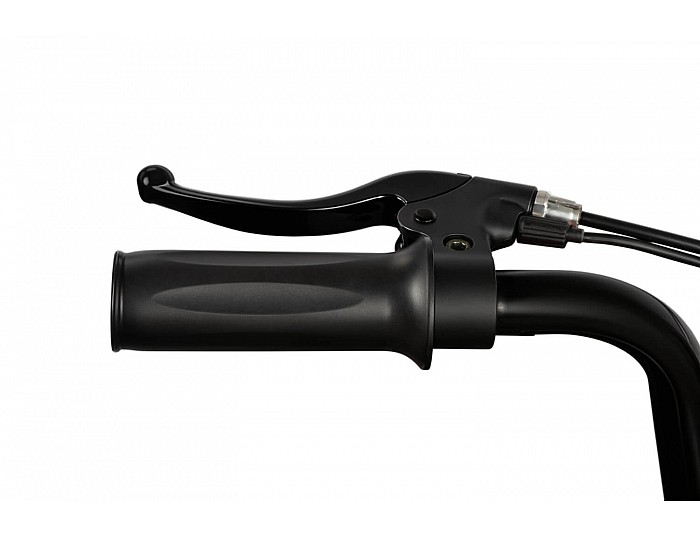 Eco Flee 300W 24V Elektro Cross Bike Kinder Motorrad