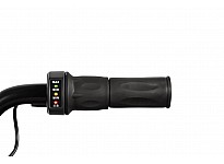 Eco Flee 300W 24V Elektro Cross Bike Kinder Motorrad