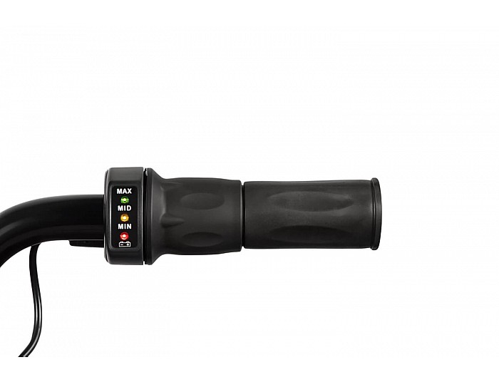 Eco Flee 300W 24V Elektro Cross Bike Kinder Motorrad