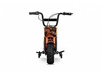 Eco Flee 300W 24V Elektro Cross Bike Kinder Motorrad