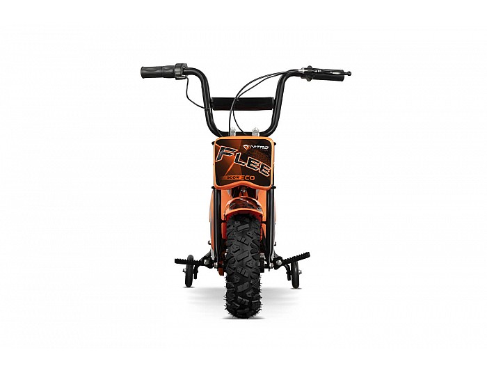 Eco Flee 300W 24V Elektro Cross Bike Kinder Motorrad