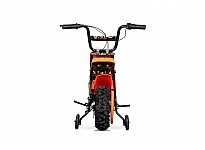 Eco Flee 300W 24V Elektro Cross Bike Kinder Motorrad