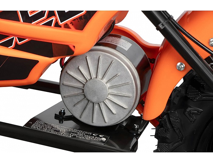 Eco Flee 300W 24V Elektro Cross Bike Kinder Motorrad