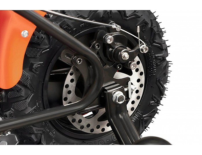 Eco Flee 300W 24V Elektro Cross Bike Kinder Motorrad