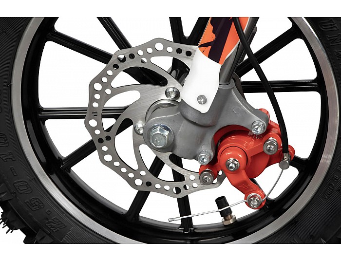 Gazelle 550W 24V Elektrisch Mini Crosser Voor Kinderen