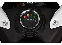 Gazelle 550W 24V Elektrisch Mini Crosser Voor Kinderen