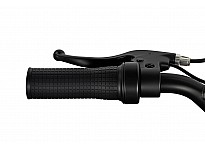 Gazelle 550W 24V Elektrisch Mini Crosser Voor Kinderen