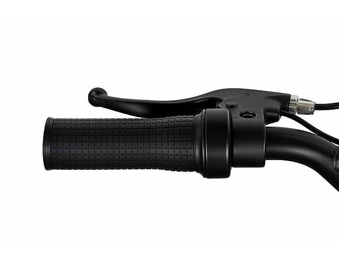 Gazelle 550W 24V Elektrisch Mini Crosser Voor Kinderen