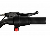 Gazelle 550W 24V Elektrisch Mini Crosser Voor Kinderen