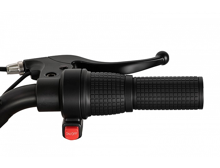 Gazelle 550W 24V Elektrisch Mini Crosser Voor Kinderen