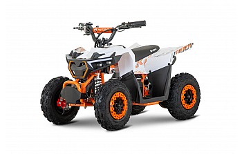 Hulki 1000W 36V Mini Quad Électrique 