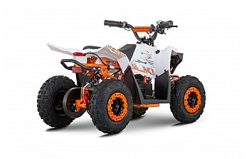 Hulki 1000W 36V Mini Quad Électrique 